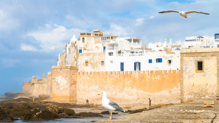 8 Days Morocco trip from Tangier to Merzouga