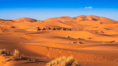 12 days from Casablanca to Merzouga Desert